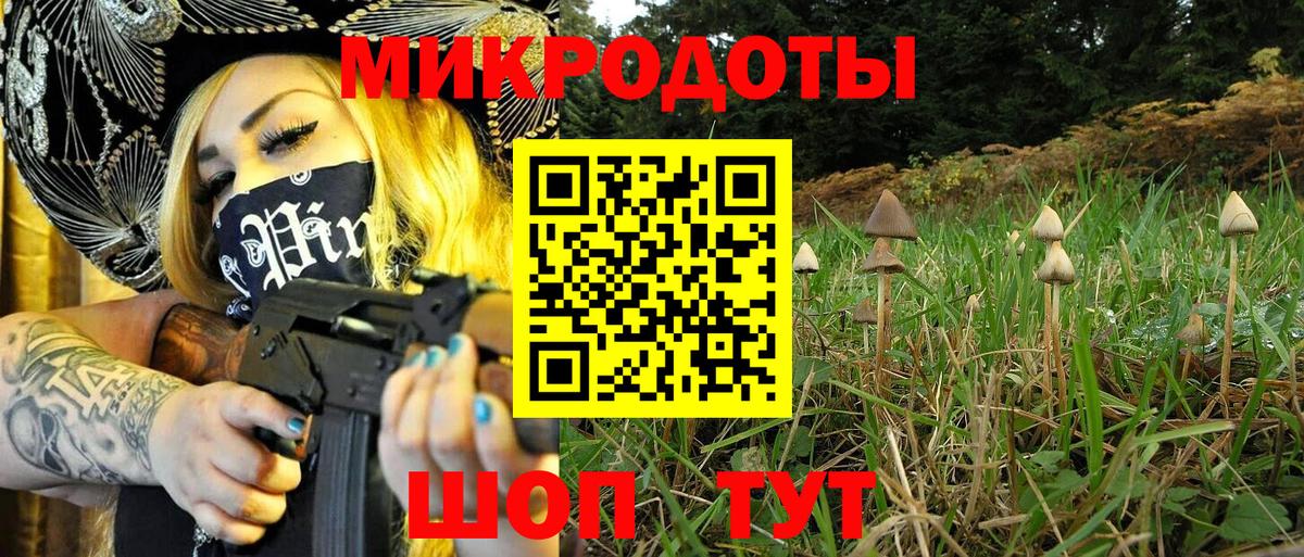 Галлюциногенные грибы мухоморы  Псилоцибиновые грибы MAGIC MUSHROOMS  Вход с VPN  Калининград 